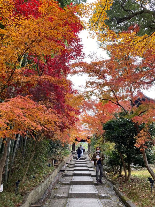 日本・京都府京都市「LIVE後、久々京都」の写真