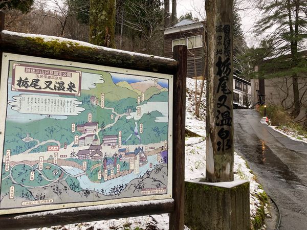 日本・新潟県「新潟 湯治の旅♨︎」の写真：栃尾又温泉 宝巌堂さん

ほっこり宿☺️