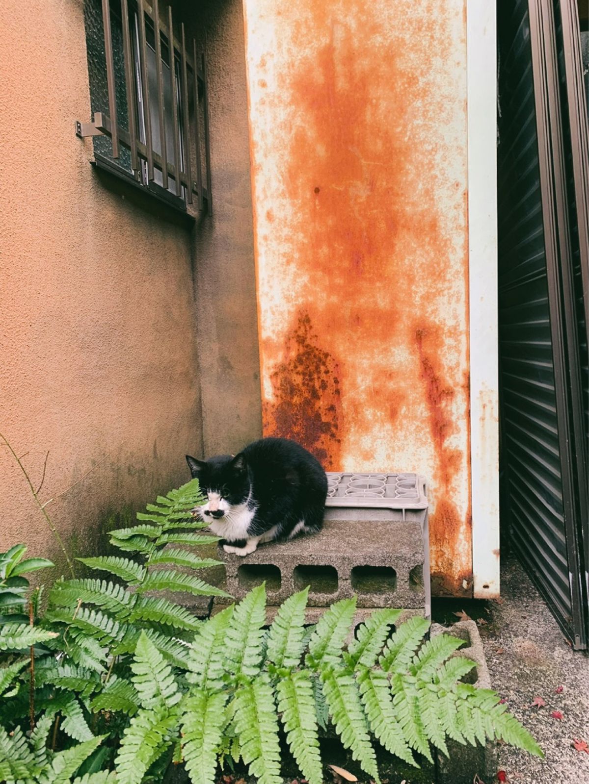 鈴虫寺