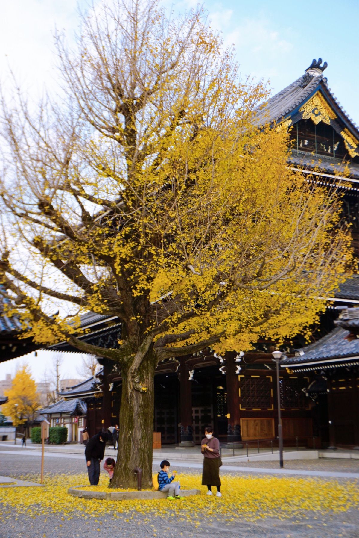 東本願寺に寄って新幹線で帰りました🐧