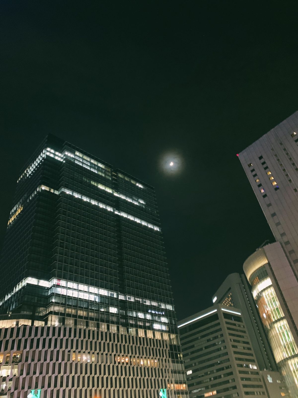 大阪ならではということで(?)
阪神百貨店 リントンズ
北極星 オムライス...