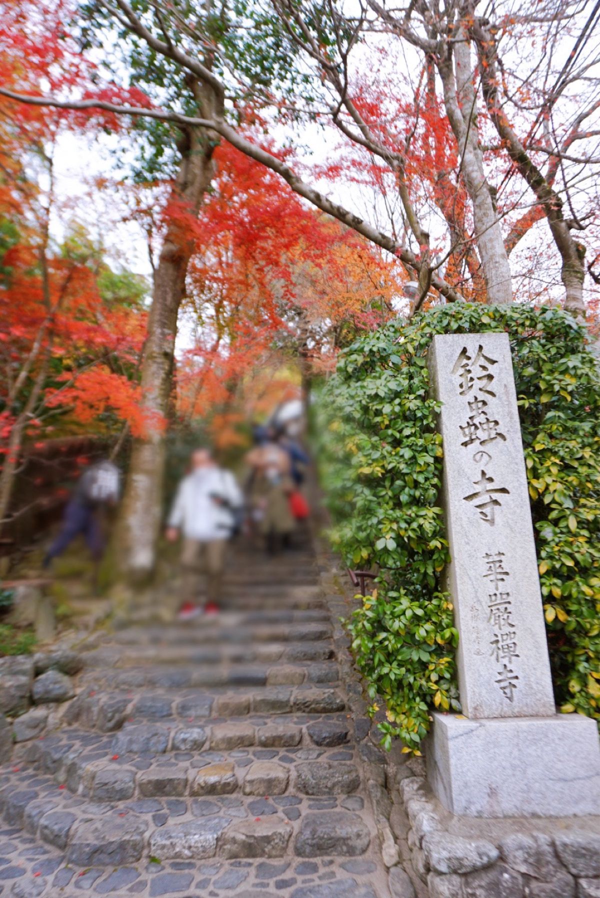 鈴虫寺