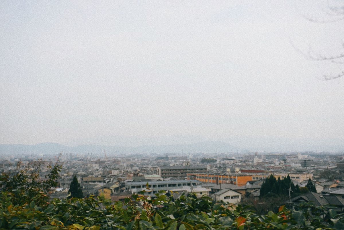 梅田も鈴虫寺もなぜか弟が付き合ってくれた