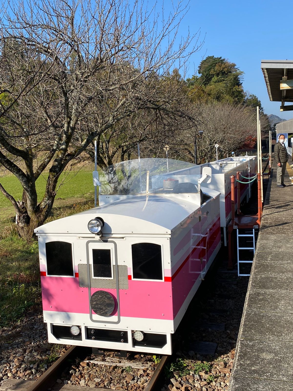 【2日目】
月見ヶ丘から見た雲海
あまてらす鉄道
高千穂峡の三重橋
真名井の滝