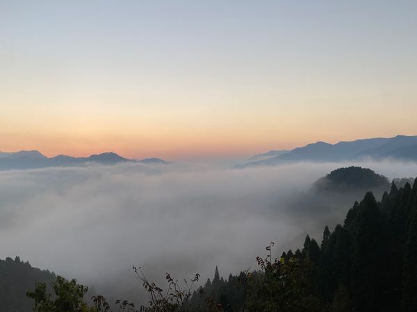 日本・熊本県「九州」の写真：【2日目】
月見ヶ丘から見た雲海
あまて...