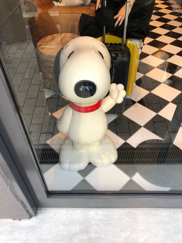 日本・神戸「ピーナッツホテル」の写真：1部屋2人までだったので2部屋取った。
...