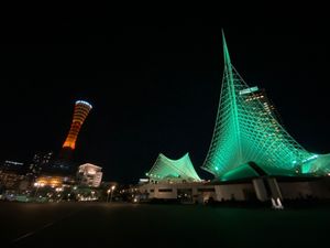 神戸の夜景！