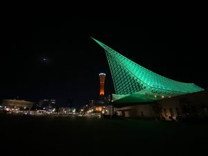 神戸の夜景！
