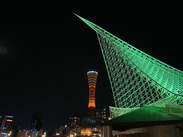 日本・徳島県「神戸旅！淡路島からの徳島へも観光！」の写真：神戸の夜景！