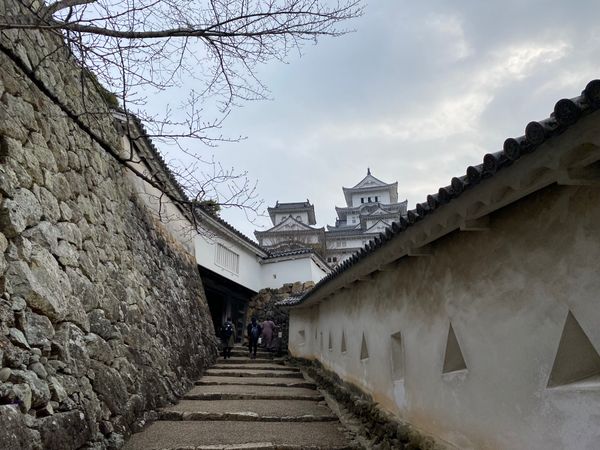 日本・徳島県「神戸旅！淡路島からの徳島へも観光！」の写真：姫路城！