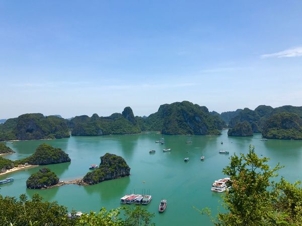 ベトナム・ハノイ「🇻🇳and🇰🇭job⚑⁎∗」の写真：16th May 2017 pic📷

...