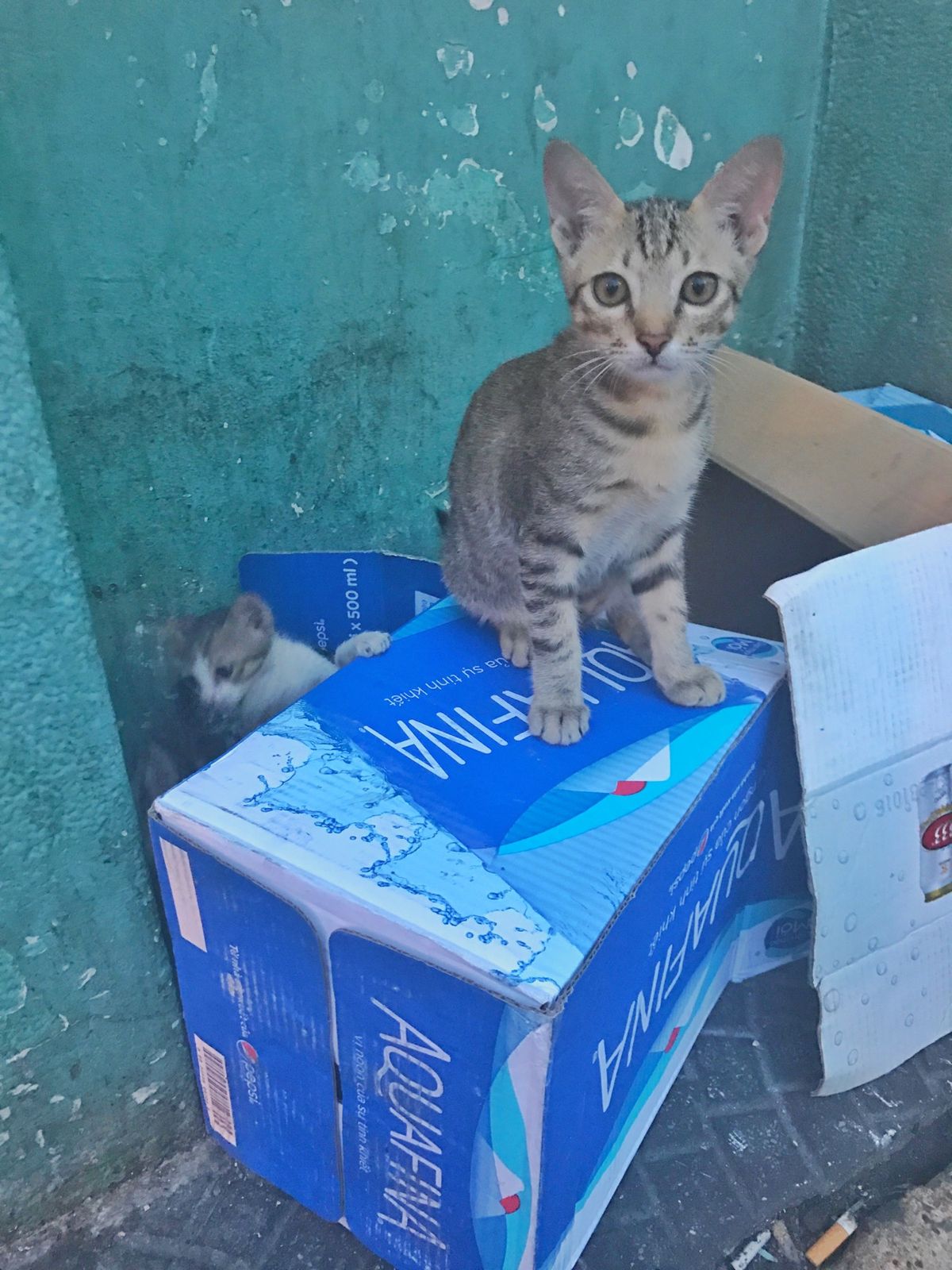 14th May 2017 pic📷

最初にベトナムのホーチミンへ飛びま...