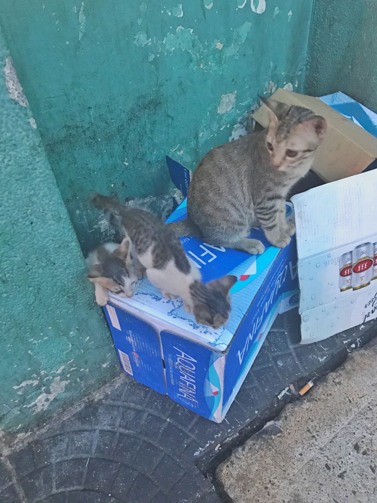 14th May 2017 pic📷

最初にベトナムのホーチミンへ飛びま...