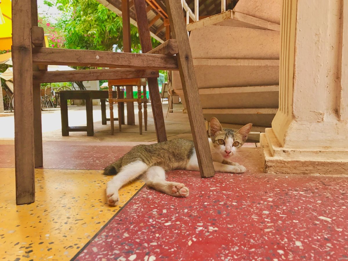 18th May 2017 pic📷

先日の夜にカンボジア🇰🇭入りしまし...