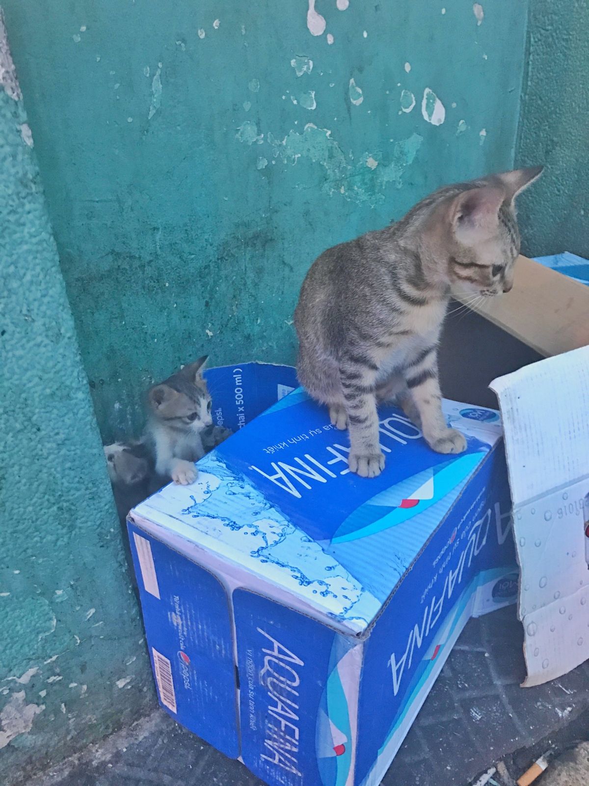 14th May 2017 pic📷

最初にベトナムのホーチミンへ飛びま...