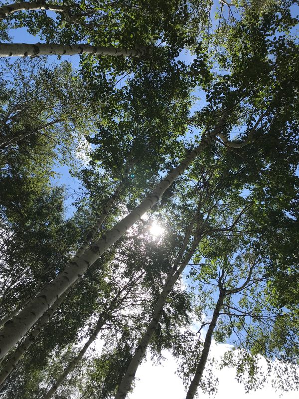 日本・那須高原「家族旅行　那須高原」の写真