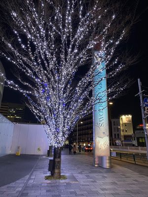 ピクミンをせっせと育てているので
麻布十番から六本木まで歩いて帰った👣

...