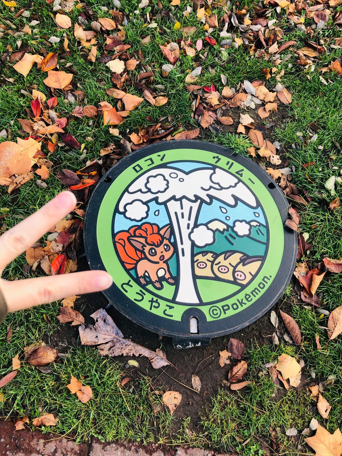 11/12 翌日、朝洞爺湖で散策、ポケモンマンホール発見！！その後函館に向...