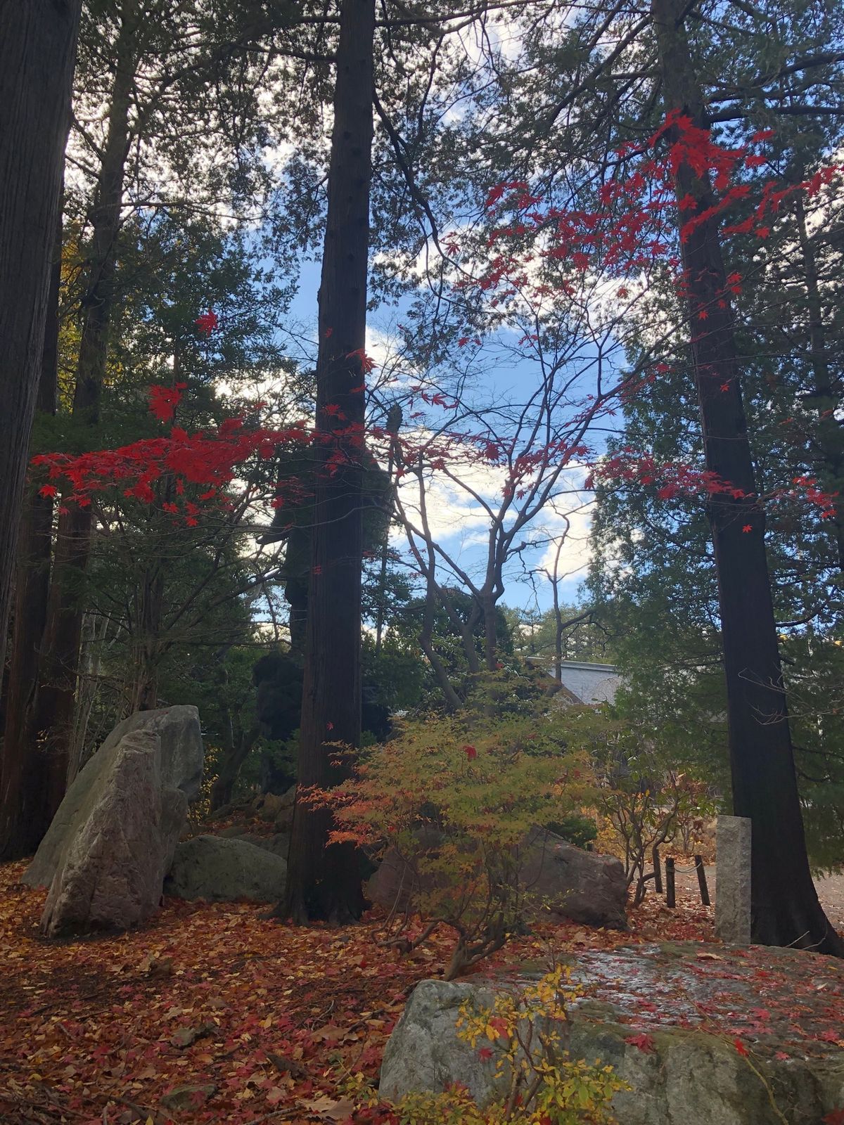 11/10-朝とてもアセアセで飛行機に乗って無事に新千歳に到着！1人なので...