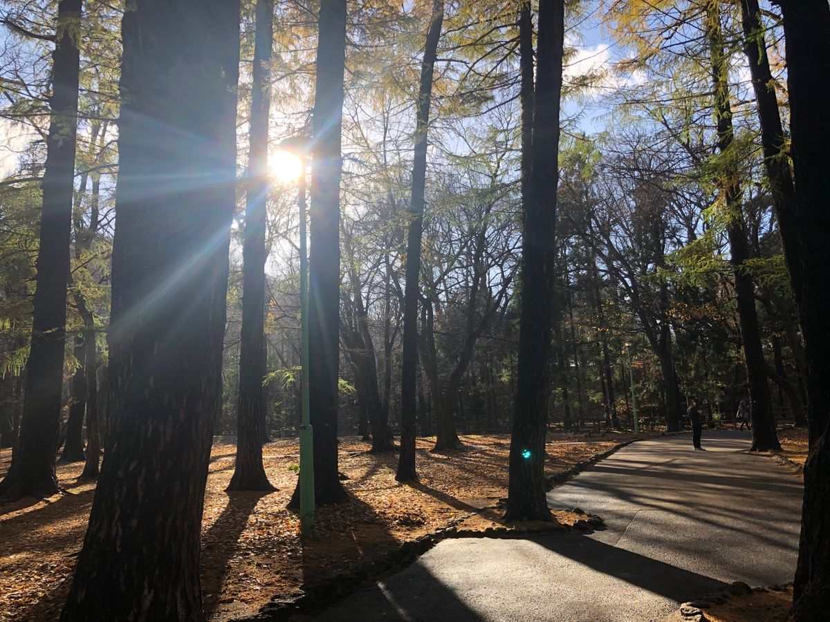11/10-朝とてもアセアセで飛行機に乗って無事に新千歳に到着！1人なので...
