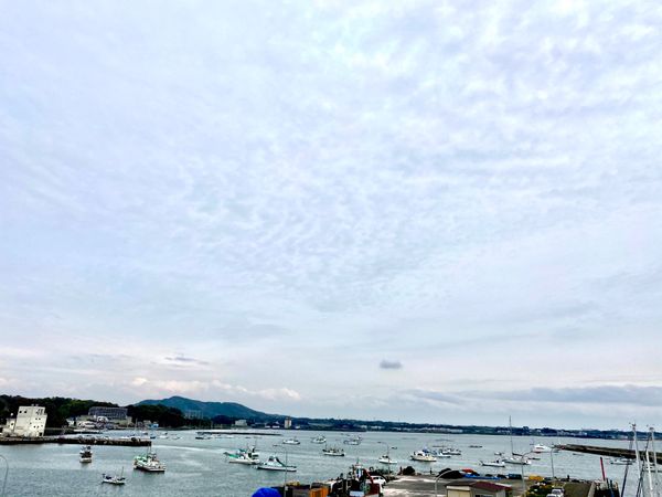 日本・神奈川県「神奈川県　佐島漁港」の写真