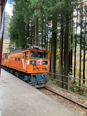 紅葉がとっても綺麗でした✨
トロッコは寒かったですが、景色が良く、トンネル...