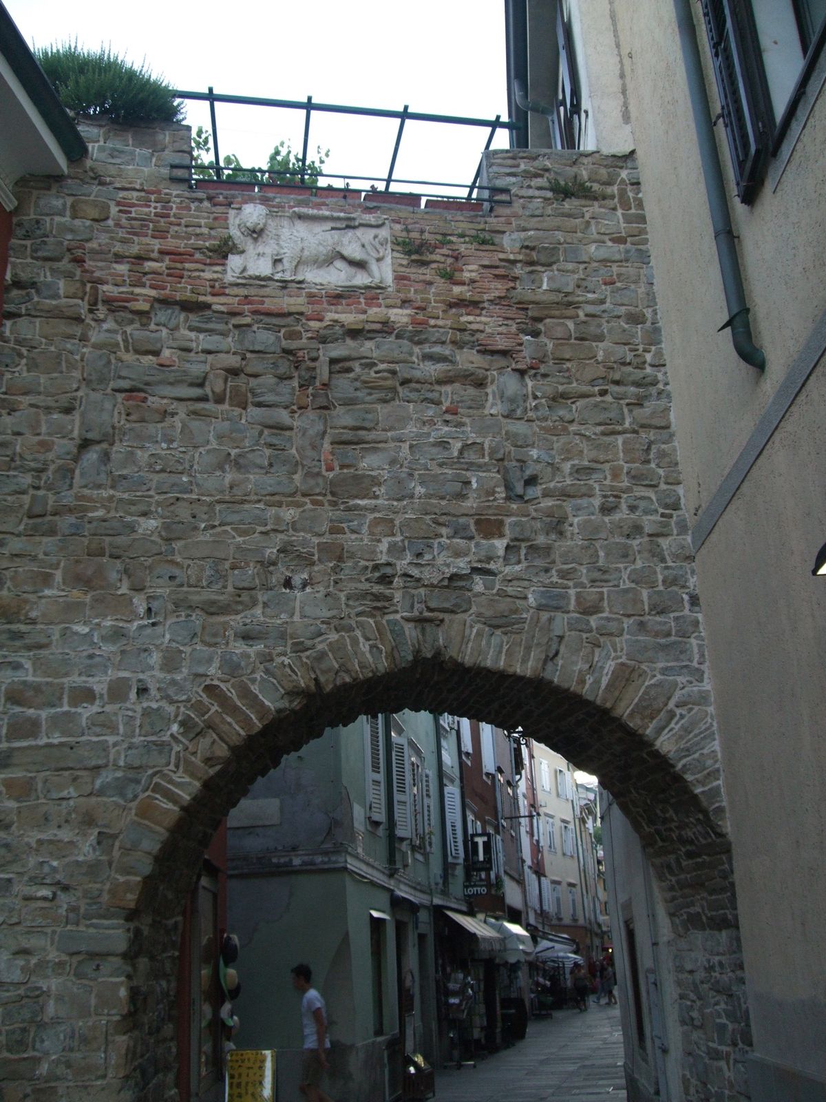 トリエステのすぐ隣(湾の反対側)のムッジャという小さな街
旧市街の大聖堂や...