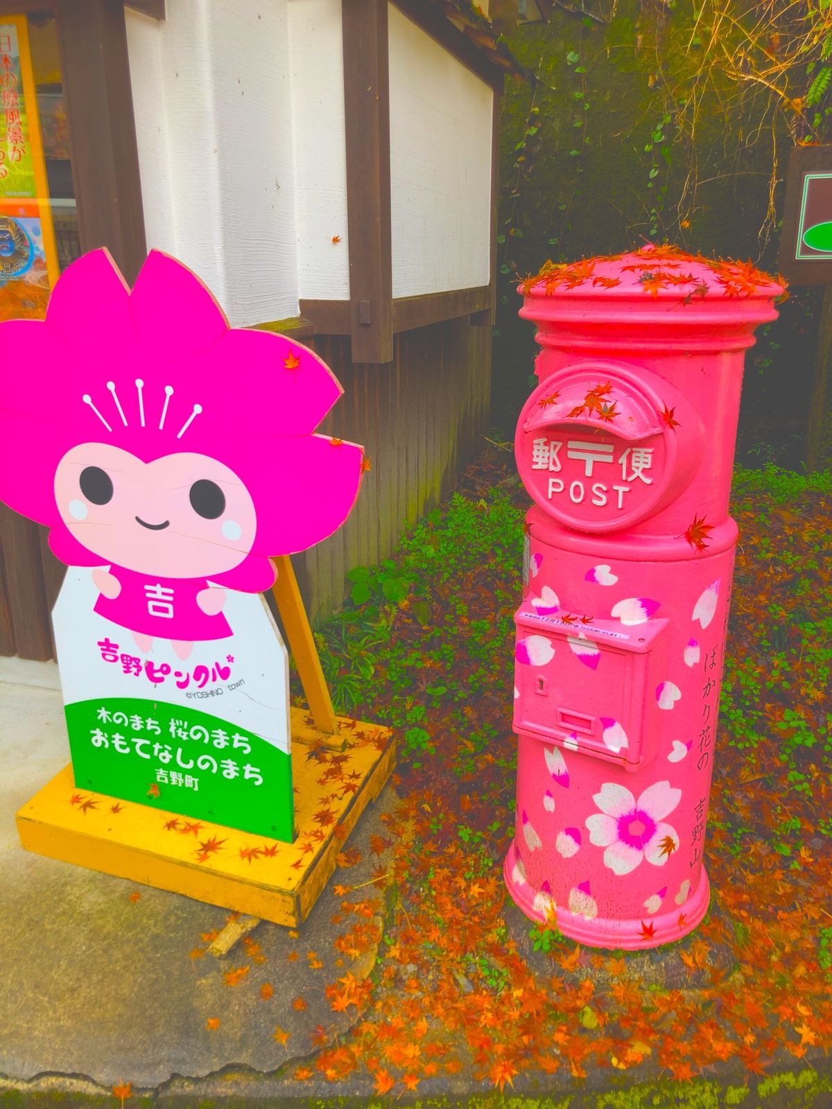 ⭐︎吉野山⭐︎

・春は桜、秋は紅葉が絶景
・駅を出るとピンクの桜ポストが...