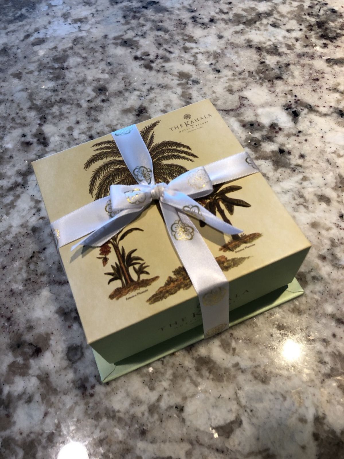 ハワイは10回くらい通ってます。