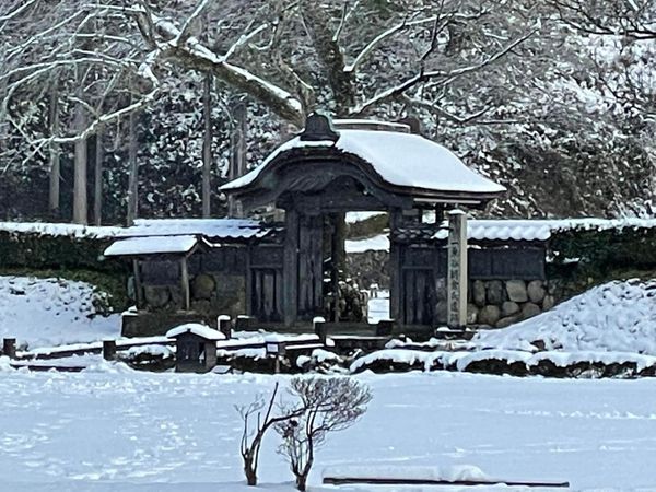 日本・福井県「福井旅行」の写真：一乗谷城と丸岡城
加賀うさぎに癒される