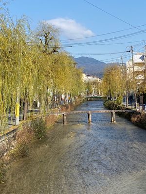 京都
●一保堂で「大福茶」を購入
●大将軍神社
●大将軍神社の樹齢800年...