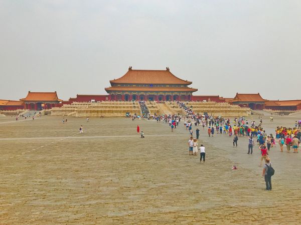 中国・上海「China🇨🇳job⚑⁎∗」の写真：17th Jun. 2017 pic📷
...