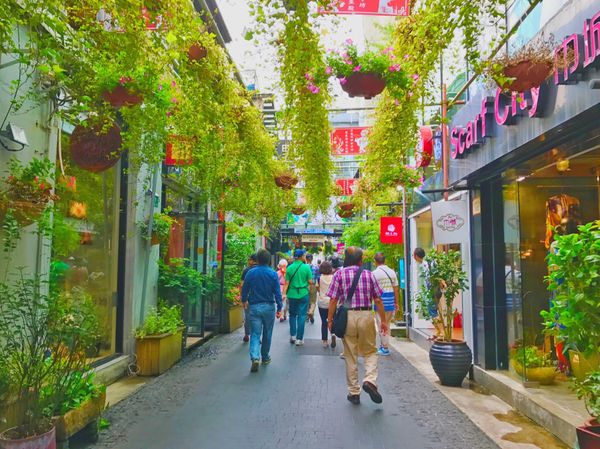 中国・上海「China🇨🇳job⚑⁎∗」の写真：20th Jun. 2017 pic📷
...