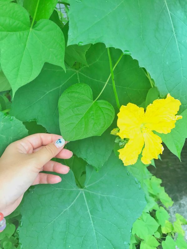 中国・上海「China🇨🇳job⚑⁎∗」の写真：21st Jun. 2017 pic📷
...