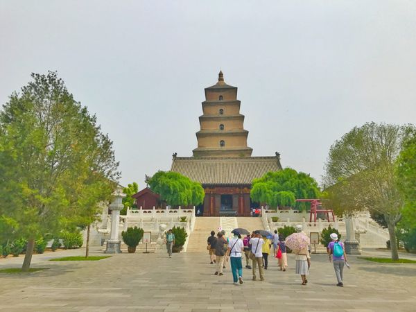 中国・上海「China🇨🇳job⚑⁎∗」の写真：19th Jun. 2017 pic📷
...