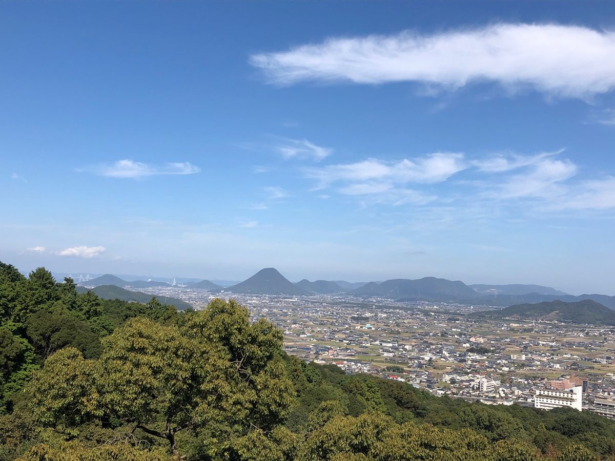 785段の石段を登り、金比羅宮へ参拝。