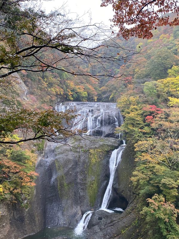 日本・茨城県「茨城県　袋田の滝」の写真