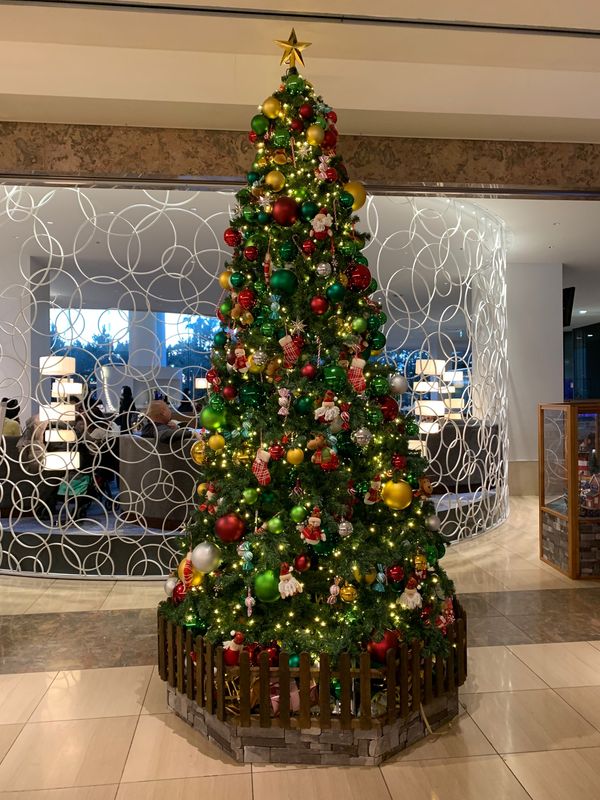 日本・千葉県舞浜市「ショートトリップ　TDL」の写真：夜ごはんは、レストランの予定だったけどお...