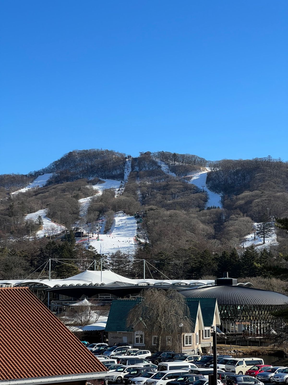 軽井沢プリンスホテルウェスト
今回はデラックス テラス ツインを二部屋借り...