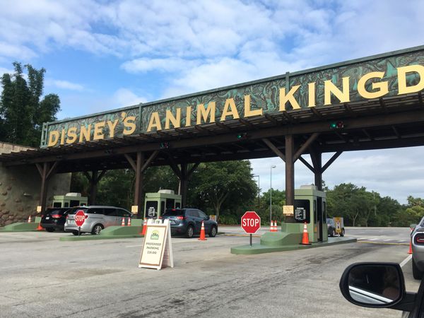 アメリカ(米国)・フロリダ「キーウエストへロードトリップ」の写真