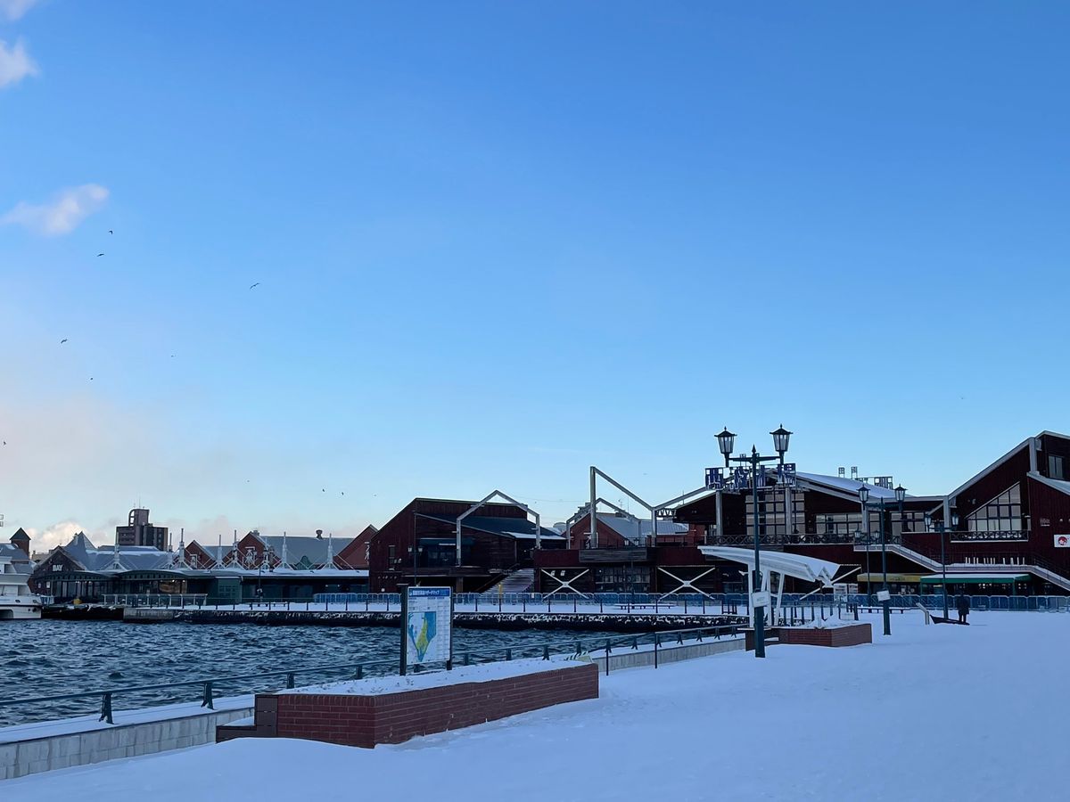 #金森赤れんが倉庫