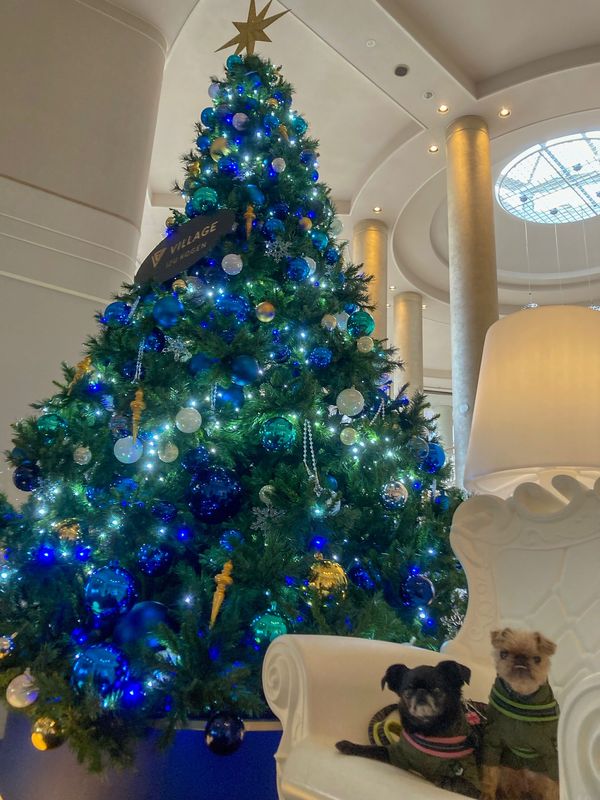 日本・静岡県「次女の誕生会」の写真