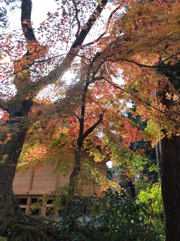 日本・岩手県「北上訪問旅行」の写真