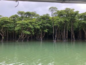 具志堅用高記念館前→川平湾グラスボート→川平湾の景色→西表島遊覧