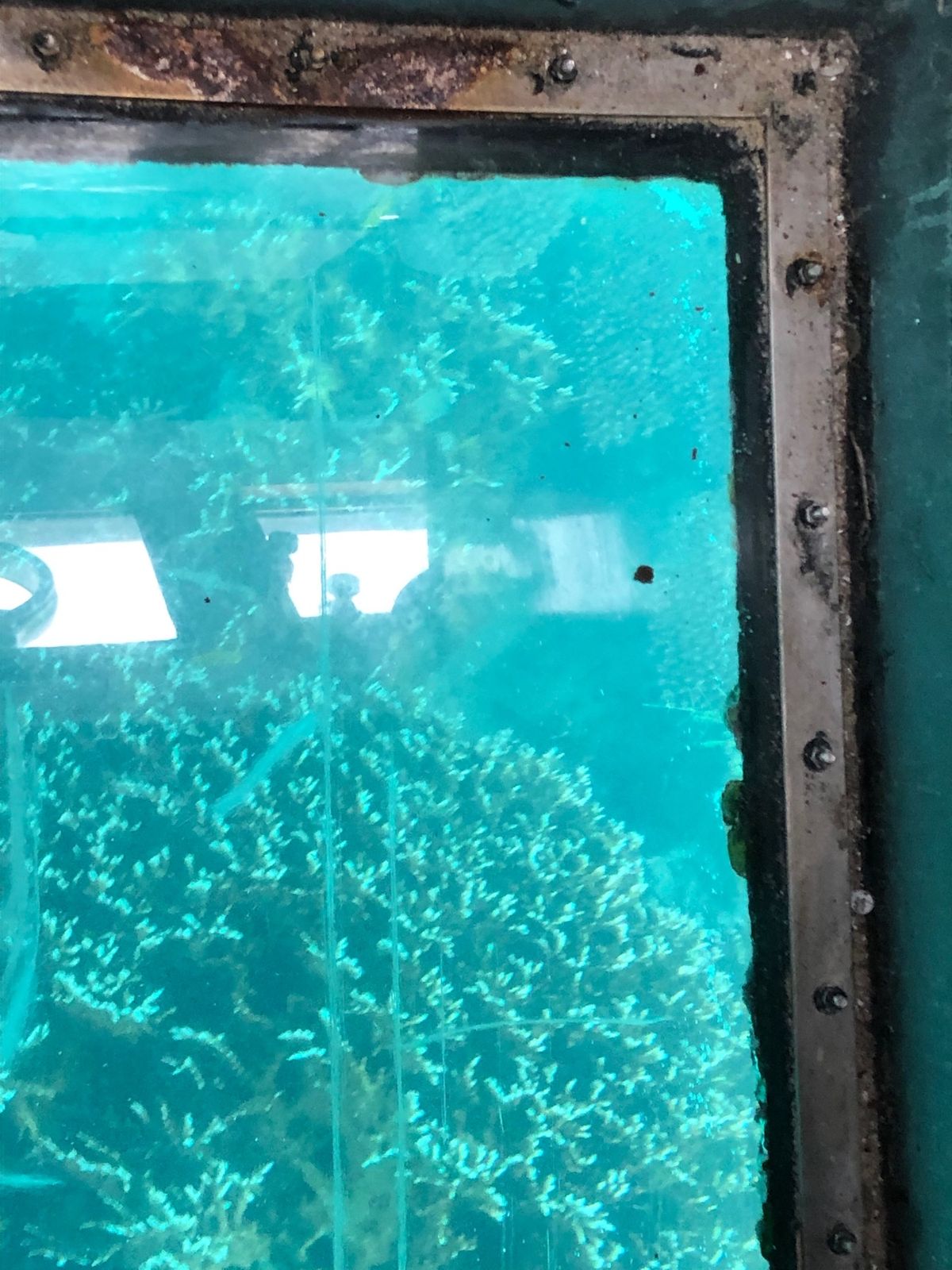 具志堅用高記念館前→川平湾グラスボート→川平湾の景色→西表島遊覧