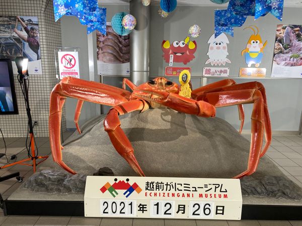 日本・福井県「ついに47都道府県制覇！の福井は敦賀旅！」の写真：越前かにミュージアム！
中には入ってない...