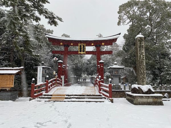 日本・福井県「ついに47都道府県制覇！の福井は敦賀旅！」の写真：氣比神宮！大雪！
