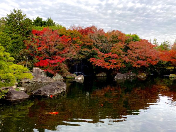 日本・好古園「兵庫県　姫路市　好古園」の写真