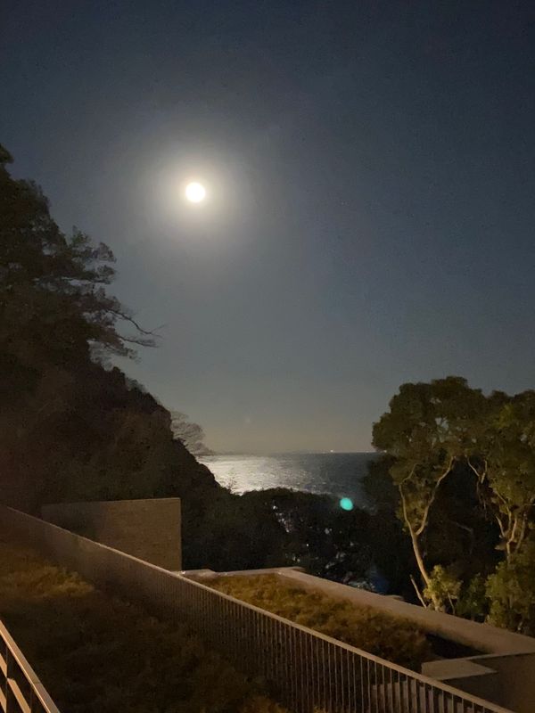 日本・静岡県「静岡県　熱海、下田」の写真