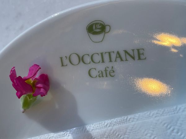 日本・新大久保「新大久保でカルグクスを食べ、渋谷で推しの誕生日を祝う」の写真